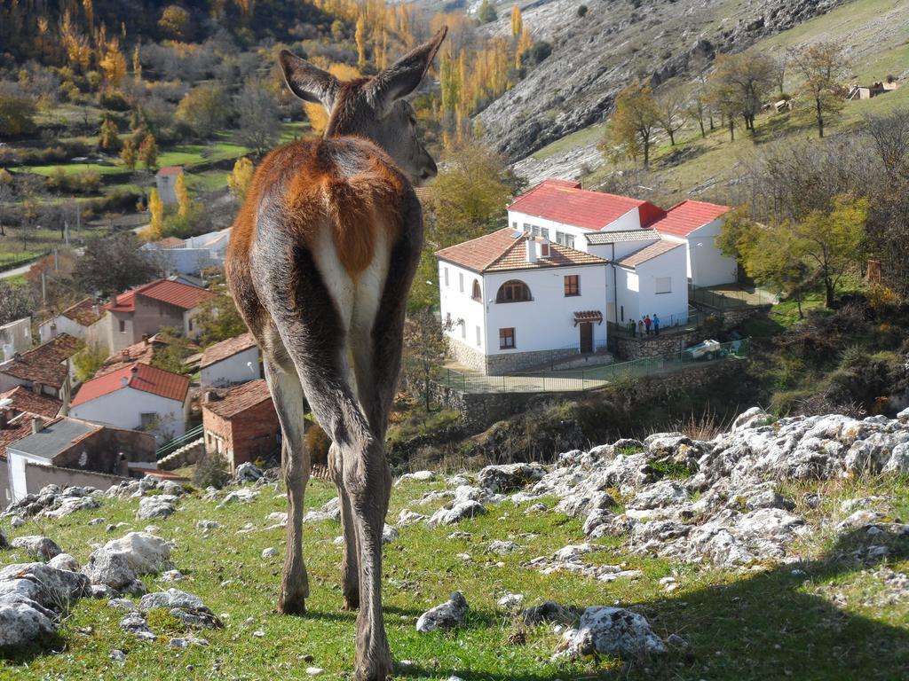 Casa Rural El Perchel Santiago-Pontones Zimmer foto